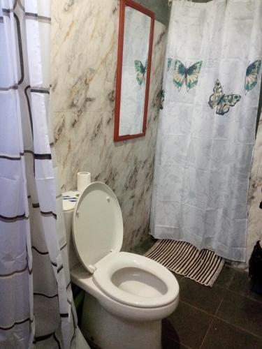 a bathroom with a toilet and a shower curtain at Homestay Alina in Tomohon