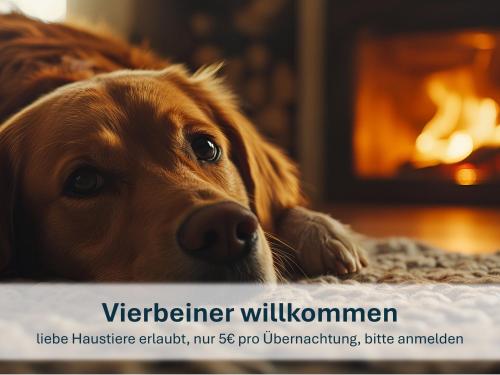 a dog laying on the floor in front of a fireplace at Haus Klipper - Nordseebad Burhave in Burhave