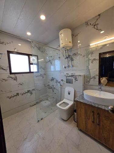 a bathroom with a toilet and a sink at Rahini sunset villa in Shimla