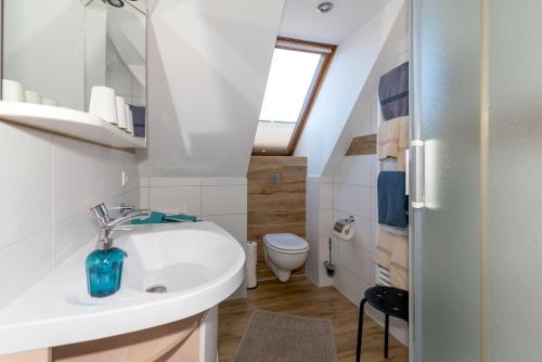 a bathroom with a sink and a toilet at Bauernhaus Wohnung 1 in Bojendorf