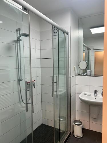 a bathroom with a glass shower and a sink at Wohnen am St Johanner Markt in Saarbrücken
