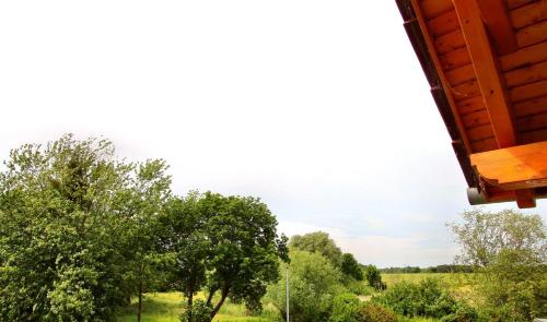a view of a field and trees from a house at HAUS MUeRITZBRISE _ OG_Fewo in Klink
