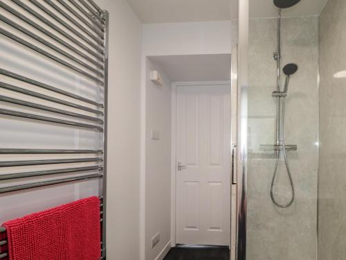 a bathroom with a shower and a glass door at 3 Bruaich Cottages in Strathpeffer
