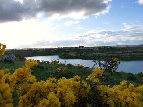 a view of a river with yellow flowers at Eco Hotel Boutique & Spa Capitulo Trece - Adults Only in Maderuelo