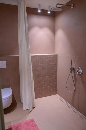 a bathroom with a shower with a toilet and a sink at B&B Hof Van Straeten in Jabbeke