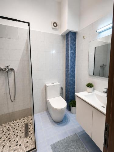a bathroom with a toilet and a sink and a shower at Friends Home in Tirana