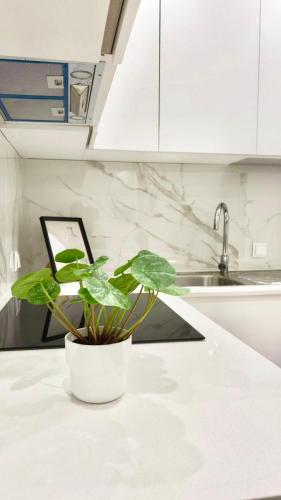 Luxury flat in central Lisbon, ideal for tourists