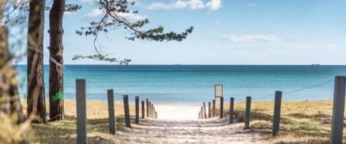 a path to the beach with the ocean in the background at Fewo`s Mehlberg Binz in Binz