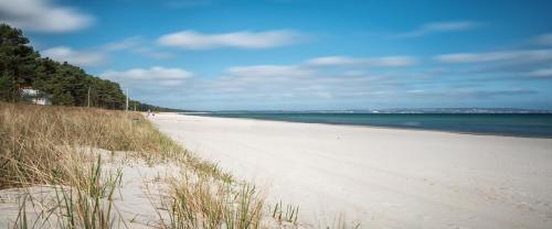 a view of a sandy beach next to the ocean at Fewo`s Mehlberg Binz in Binz