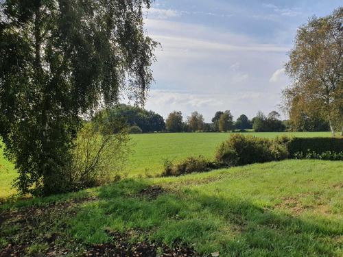a green field with a tree in the foreground at Ferien am Idasee 85041 in Ostrhauderfehn