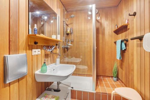 a bathroom with a sink and a shower at Ferienwohnung Black Forest Hideaway in Todtnau