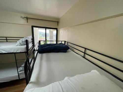 a room with two bunk beds and a window at Xenia Backpackers in Nairobi