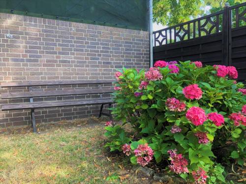 a bench with pink flowers next to a brick wall at Ferienhaus am Wiesenweg in Hosena