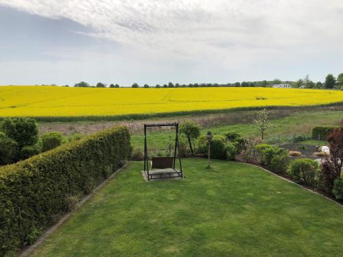a swing in a garden with a field of yellow rapeseed at Villa Grande Fewo Enjoy We 2 in Göhren-Lebbin