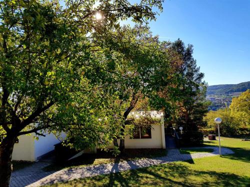 a tree in a yard with a building at Berg-Bungalows Leinleitertal in Heiligenstadt