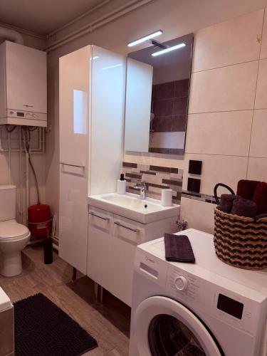 a bathroom with a washing machine and a sink at T3 spacieux - Centre et Technhom in Belfort