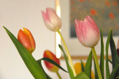 a group of pink flowers in a vase at Ferienwohnung Himmelblau in Strullendorf