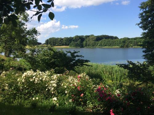 a view of a lake with flowers in the foreground at Ferienhaeuser Poenitz am See in Klingberg