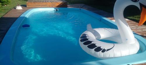 a swan inflatable swan float in a pool at Casa Quinta Doña María in Concepción del Uruguay