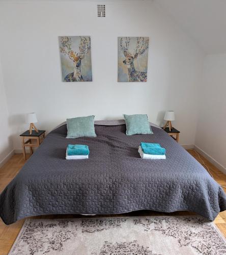 ein Schlafzimmer mit einem großen Bett und blauen Kissen in der Unterkunft Vildmarks Lodge in Ytterhogdal