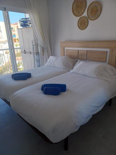 Delfin Torrecilla Beach