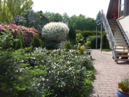 a garden with bushes and flowers and a staircase at 4_Zimmer_Ferienwohnung in Wathlingen