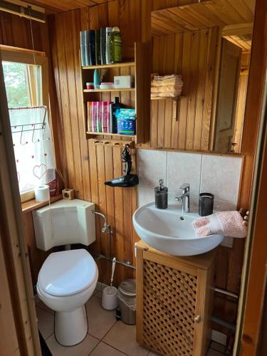 a bathroom with a toilet and a sink at Gîte le Nid in Langatte