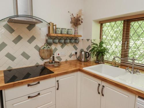 a kitchen with a sink and a counter at Cân yr adar in Bridgend