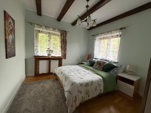 a bedroom with a bed and two windows at Pokoje Ella in Jelenia Góra