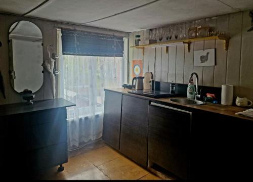 eine kleine Küche mit Spüle und Fenster in der Unterkunft Pie omītes in Ventspils