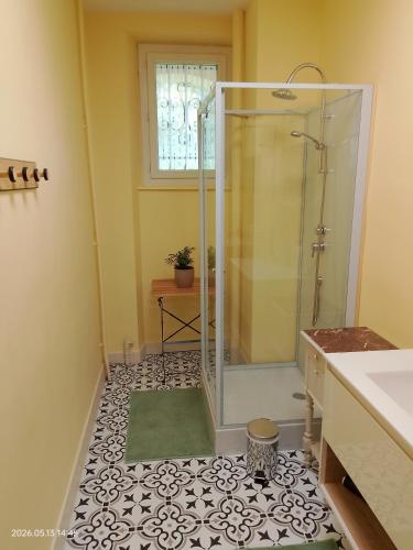 a bathroom with a shower and a sink at Moulin de la Varenne in Saint-Saturnin