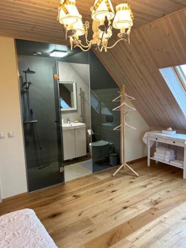 ein Badezimmer mit Dusche und Kronleuchter in der Unterkunft Muhu Kulla Saadu puhkemaja mere ääres in Raugi
