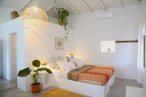 a white bedroom with a bed and a potted plant at Rouga - bright terrace studio in Aroniadika