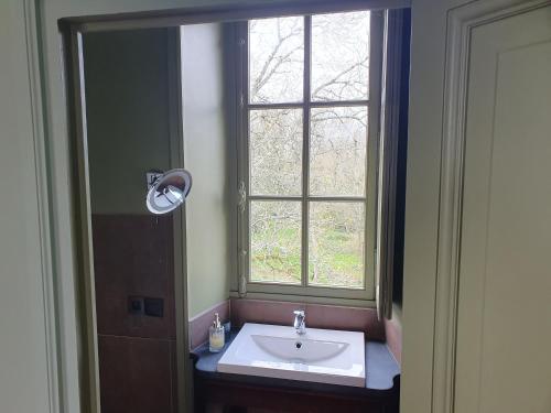 a bathroom with a sink and a window at château de La Colinière - vue sur parc in Champtoceaux