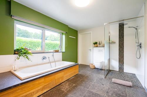 a bathroom with a tub and a shower and a window at Villa Winbomont in Malmedy