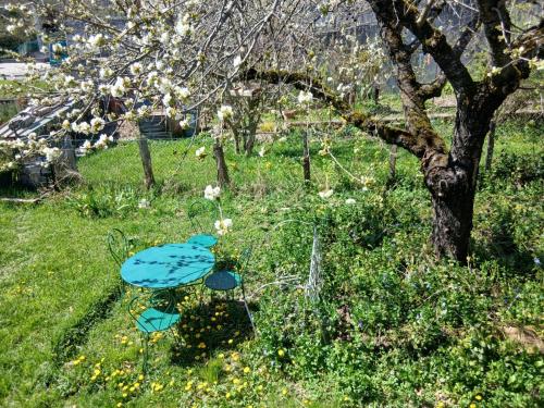 a pond in the grass next to a tree at Gite Le Romanesque in Clelles