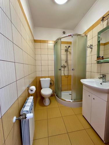 a bathroom with a shower and a toilet and a sink at Leśna Ostoja in Górniki