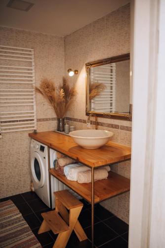 a bathroom with a sink and a washing machine at Pstrug House in Yasinya