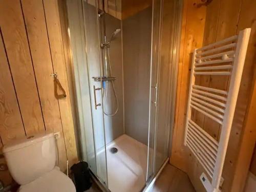 a bathroom with a shower and a toilet and a glass shower at Cabane du Bertic in Lège-Cap-Ferret