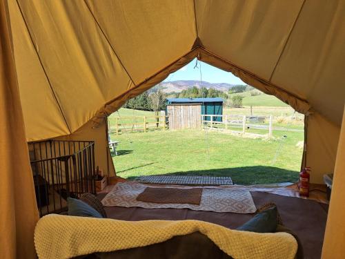 a large tent with a view of a field at Glenshee Glamping in Glenshee