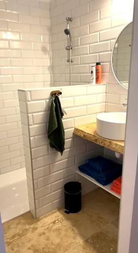 a bathroom with a sink and a towel at Maison entière cosy calme parking animaux ok in Carcassonne