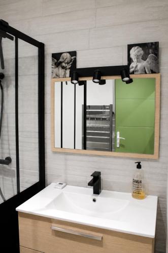 a bathroom with a sink and a mirror at Duplex cosy 4-6 pers - Terrasse - Grenoble - Vercors in Claix