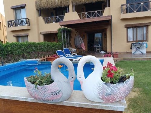 two swan planters next to a swimming pool at Mountain View 1 /Ain El Sokhna in Ain Sokhna