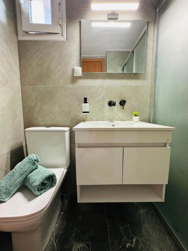 a bathroom with a sink and a toilet and a mirror at Petralia's Guest House in Skiathos