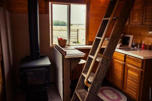 a ladder in a kitchen with a stove and a window at COTC - The Grouse House - Suite in Castor