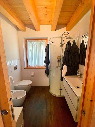 a bathroom with a shower and a toilet and a sink at Alpine Heaven in Borca di Cadore