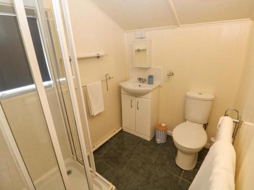 a small bathroom with a toilet and a shower at Beacon House in Haverfordwest