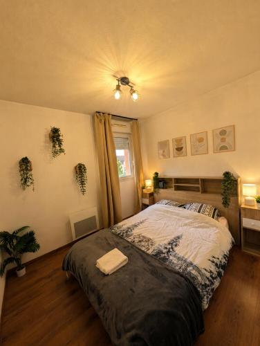 Appartement T3 - Relax aux portes des 24h du Mans
