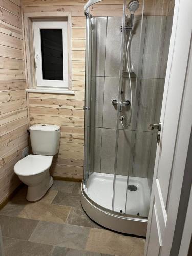 a bathroom with a toilet and a glass shower at Liepų namelis - Linden Shore in Miroslavas