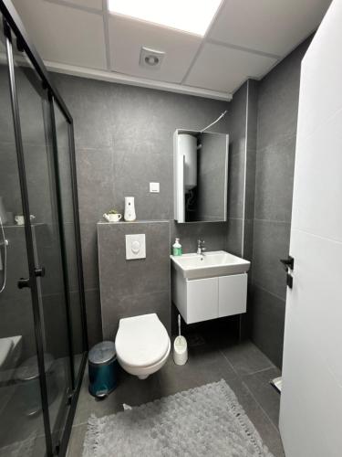 a bathroom with a toilet and a sink and a shower at Hug and Fly Apartment in Skopje